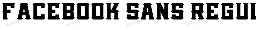 Facebook Sans Regul字体转换